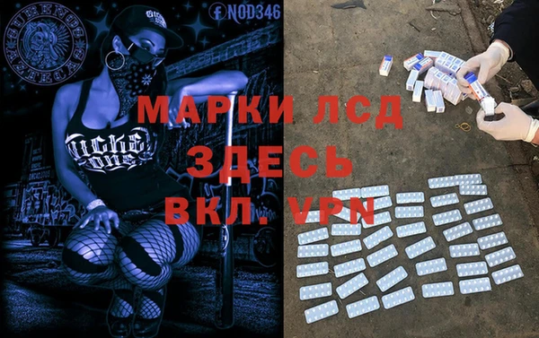 мяу мяу мука Гусь-Хрустальный